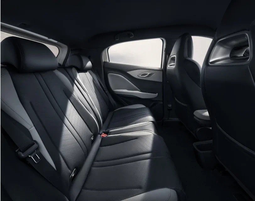 BYD Dolphin Surf