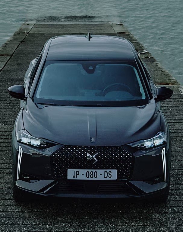 DS DS 3