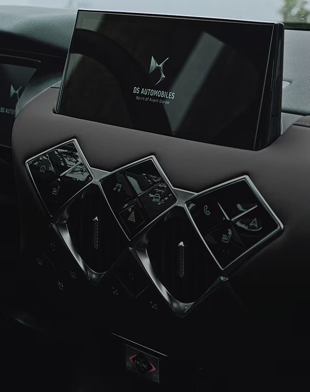 DS DS 3