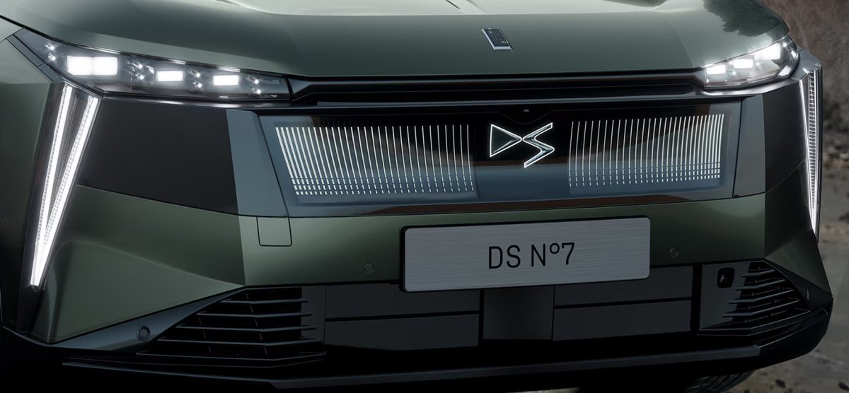 DS Nº7